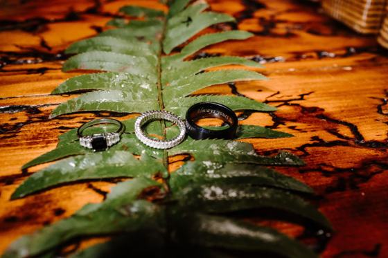 Wedding rings resting on a fern frond