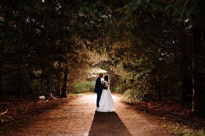 Forest aisle lined with ferns and petals