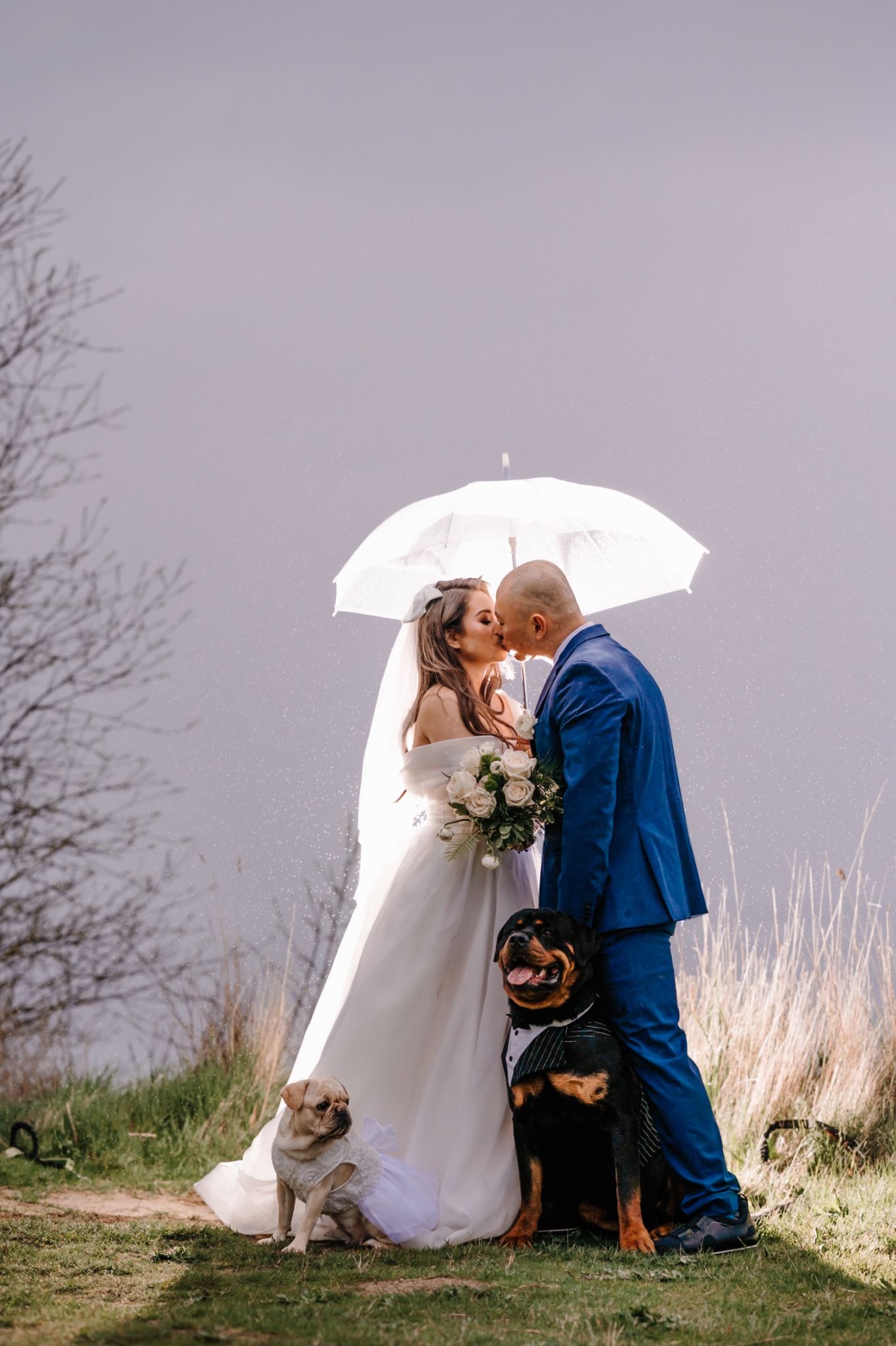 Cascade Vows elopement portfolio image